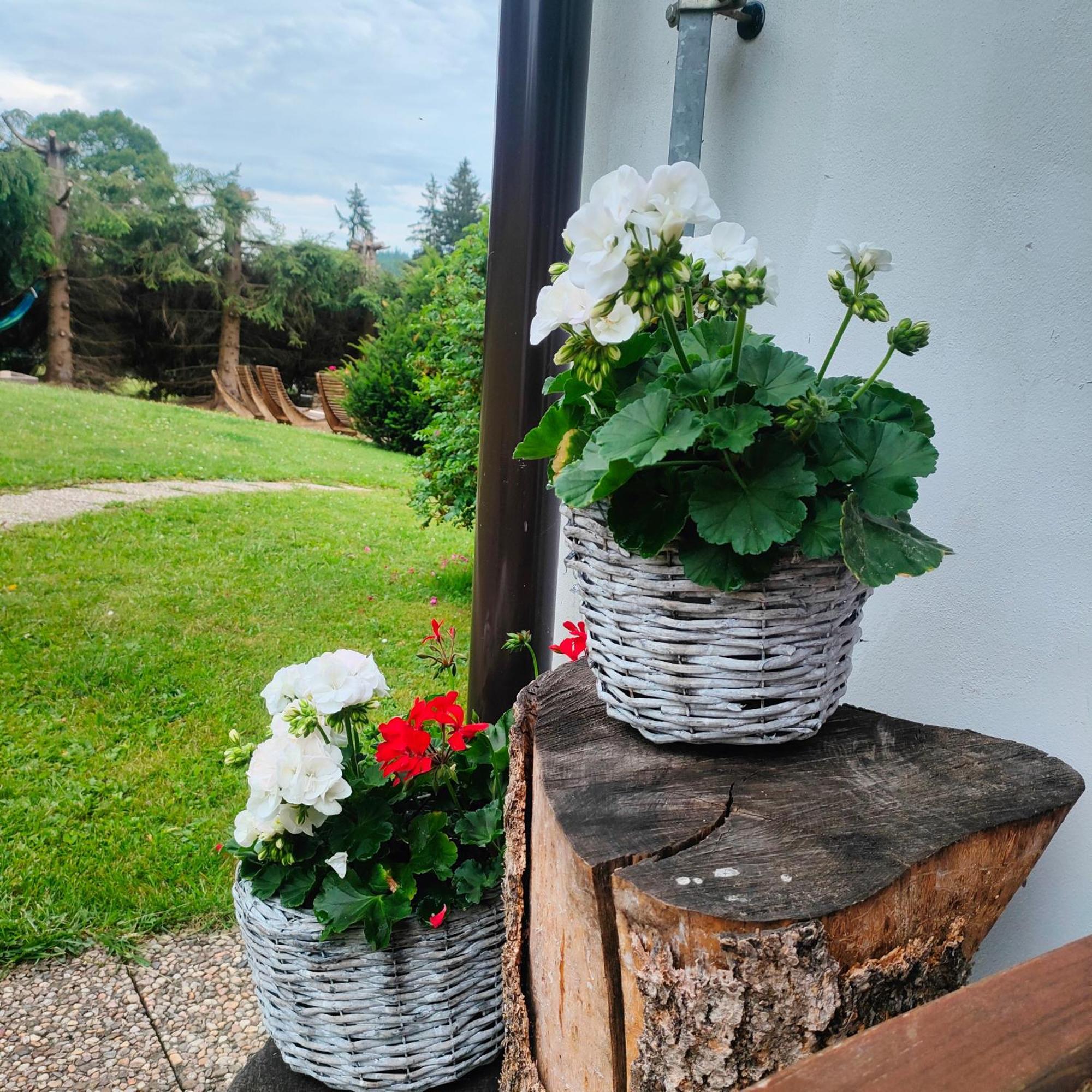 U Tomíčků Hotel Paseky nad Jizerou Exterior foto